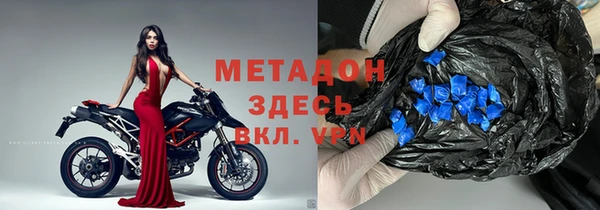 шишки Арсеньев