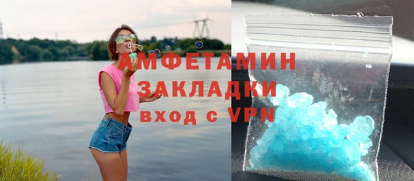 шишки Арсеньев