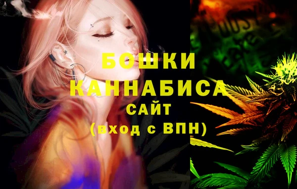 шишки Арсеньев