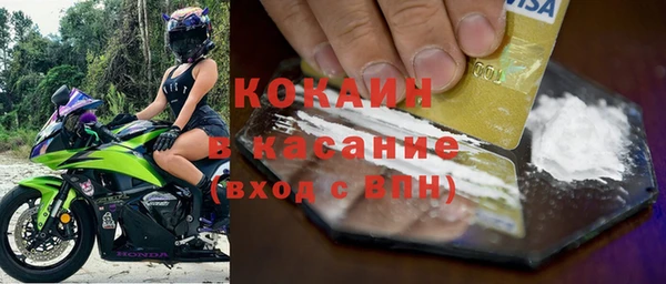 шишки Арсеньев