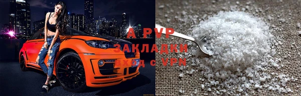 шишки Арсеньев